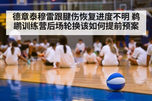 德章泰穆雷跟腱伤恢复进度不明 鹈鹕训练营后场轮换该如何提前预案